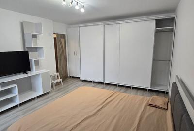 Garsonieră decomandată în Tunari - 4