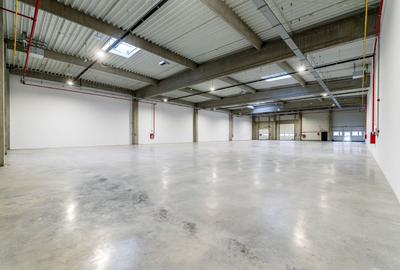 Spațiu industrial, de 4,646 mp, în Nord - 10