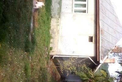 Casă în Coșeiu - 6