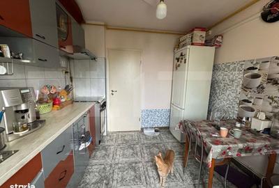 Apartament cu 3 camere decomandat în Deve - 13