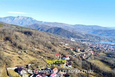 CALIMANESTI, TEREN 1231 MP - 5