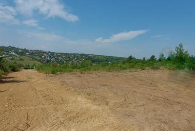 Teren intravilan , Bucium Barnova - 1