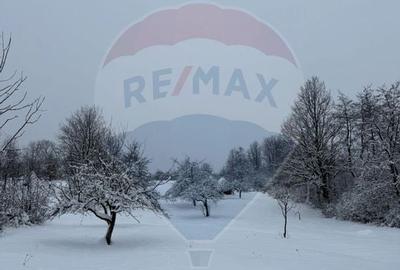 Teren în cea mai turistica localitate din Romania - Breb / Maramureș - 6