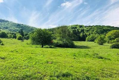 Teren de 15600 mp, în Cheișoara - 6