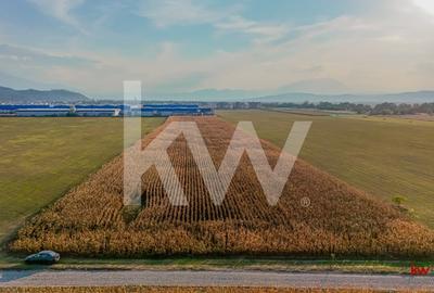 Teren industrial 6100 mp. cu PUZ in Cristian BV - 1