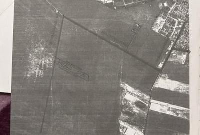 Teren agricol extravilan de 2500 mp, în Dragomirești-Vale - 3