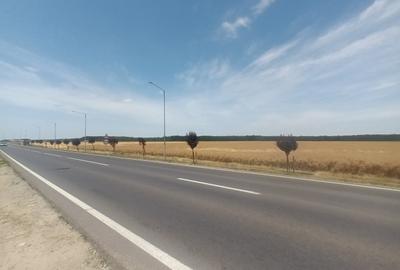 Teren Vanzare Intravilan Branesti - Investitie Zona Industriala Vis a Vis Makita - 27