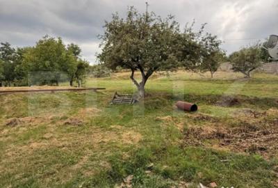 Casă cu 4 camere cu Teren 4800 Mp în Central - 9