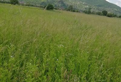 Teren Vaduri, com.Al.cel Bun - 3