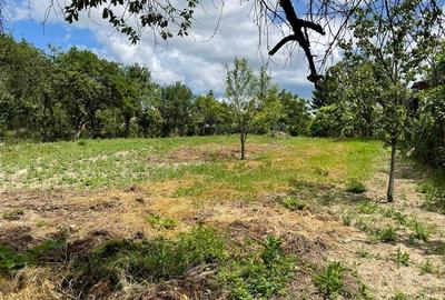 Casa batraneasca, Bucov, teren 1500 mp - 1