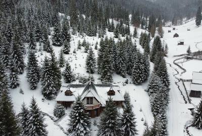 Casă individuală cu 6 camere cu Teren 20000 Mp în Panaci - 6