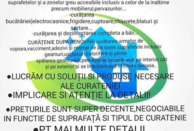 Executam orice tip de curatenie - 3