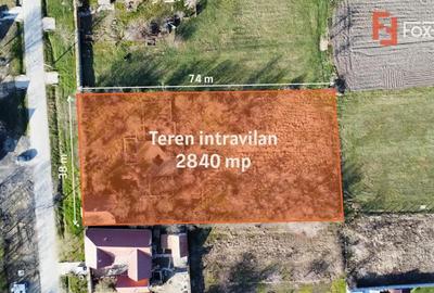 Teren de 2840 mp, în Jebel - 10