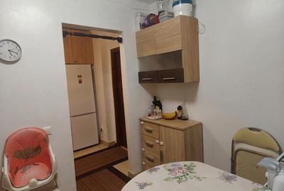 Apartament cu 2 camere semidecomandat în Săsar - 6