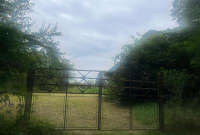 Teren Construcții intravilan de 2352 mp, în Pachia - 1
