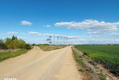 Teren de 6450 mp, în Ineu
