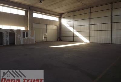 Spațiu industrial, în Lugojului - 6