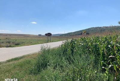 Teren de 4000 mp, în Grădina - 1