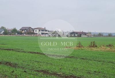 Teren Branesti -Romancierilor - 3