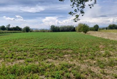 Casă cu 4 camere în Luncă - 3