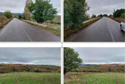 Teren extravilan pasune Ardeoani, ID: R2404613 - 17