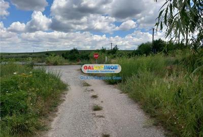 Vanzare loturi teren FUNDULEA / LACUL DARVARI cu mare potential - 10