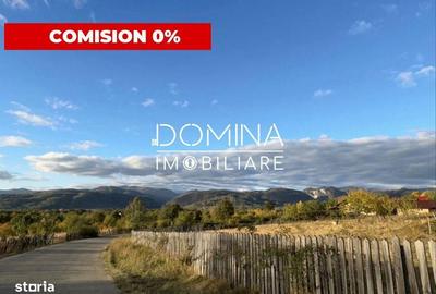 Spațiu comercial, în Baia de Fier - 2