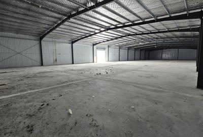 Hale Industriale | DN2 | Afumati-Doraly Expo