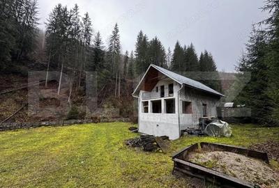 Cabana cu 4 camere, zona ?ugag - Tau Bistra - 6