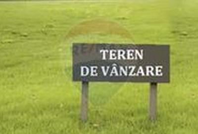 Teren intravilan in Minis - 2