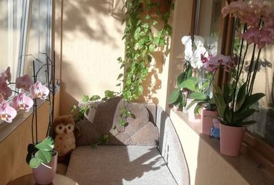 Apartament cu 3 camere semidecomandat în Drumul Carului - 4