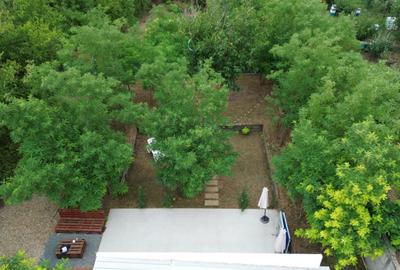 Casa de vacanta / spatiu comercial de vanzare – Frumusani - 10