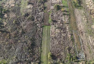 Vidra - Teren 1100 mp - Drum de Acces - Ideal Casa Vidra - Teren 1100 mp - Drum de Acces - Ideal Casa - 2