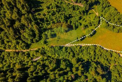 Teren Construcții intravilan de 7300 mp, în Brădet - 2