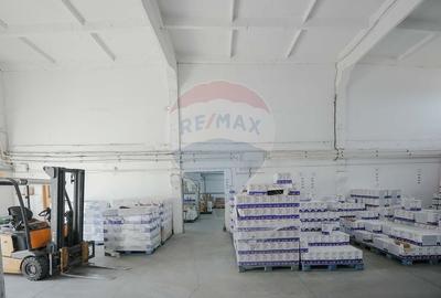 De vanzare Spatiu industrial de 10 129 mp Soseaua Borsului - 16