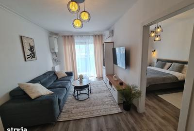 Apartament cu 2 camere în Șega - 17