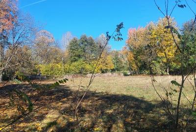 Vând teren 4200mp, int și ext în Romani  de jos - 4