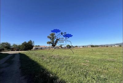 Teren Construcții de 8050 mp, în Cristian - 3