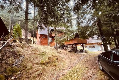 Casa de vacanta/Cabana cu 8 camere de in Paltinis - 1