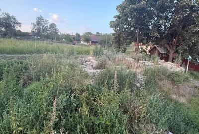 Casă cu 2 camere în Buteni - 4