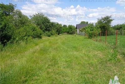Vila de vanzare langa Dorohoi (Pascari), Botosani - 9