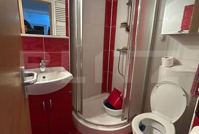 Apartament cu 4 camere în Central - 5