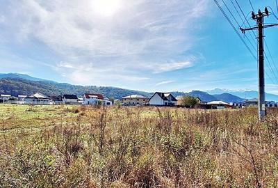 Intrare in Rasnov dinspre Brasov, zona de case noi, teren de 1976mp,  80 euro/mp - 4