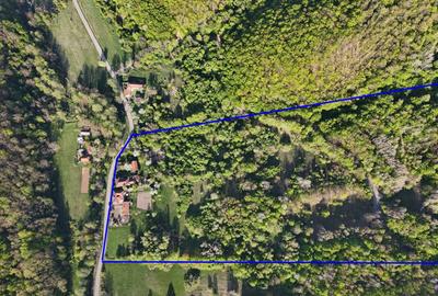 Casă cu 4 camere în Burjuc - 2