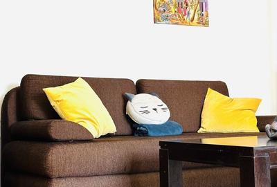 Apartament cu 2 camere decomandat, mobilat în Iosefin - 11