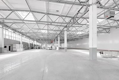 DEPOZITARE LOGISTIC OFFICE PRODUCTIE - 2