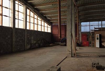 Hale , teren depozitare / productie , acces TIR - 4