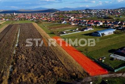 Teren intravilan  in localitatea Bod - 1