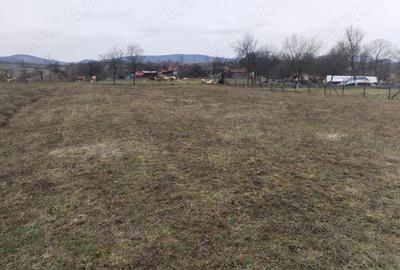 Teren de 3000 mp, în Vața de Jos - 5