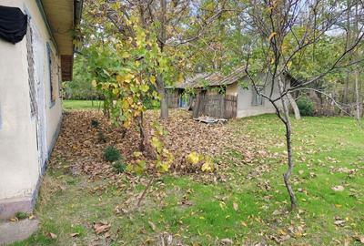 Casă cu 4 camere în Vlad Țepeș - 4